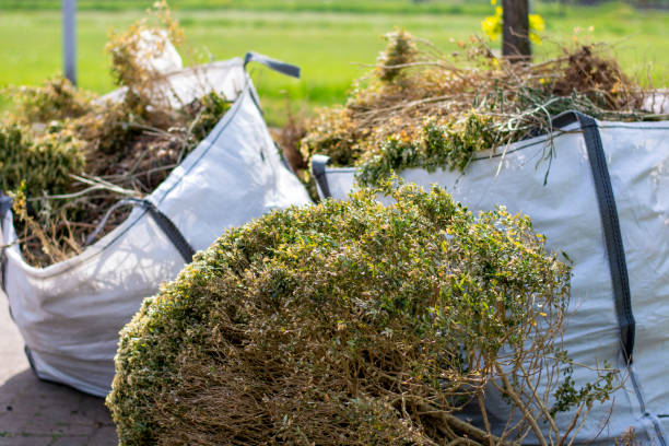 Best Garage Cleanout Services  in Mission Nyon, CA